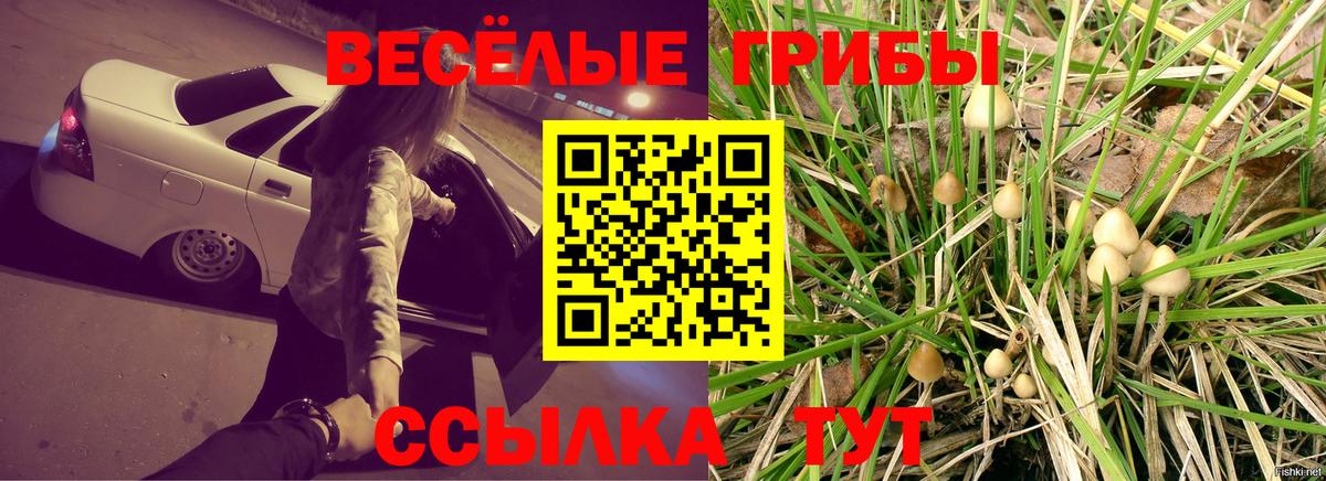 Галлюциногенные грибы MAGIC MUSHROOMS  Вход с VPN  Магнитогорск  Галлюциногенные грибы MAGIC MUSHROOMS 